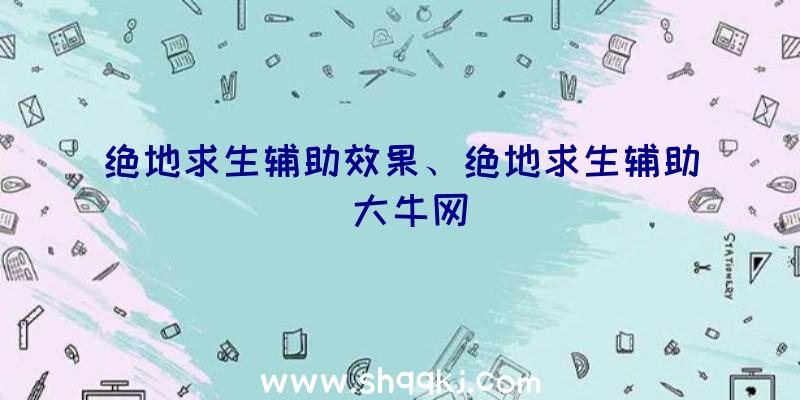 绝地求生辅助效果、绝地求生辅助